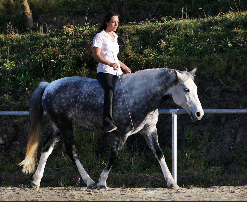 Lebenslauf Pferdetrainerin Anja Lück