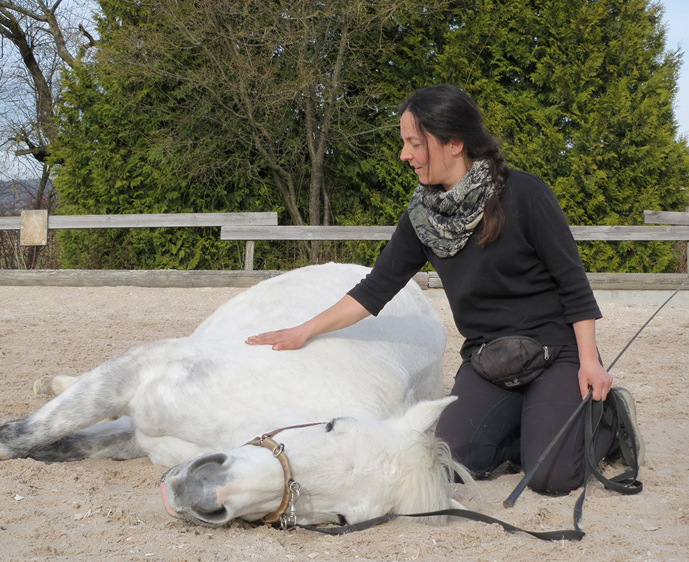 Pferdeausbildung Trainerin Anja Lück