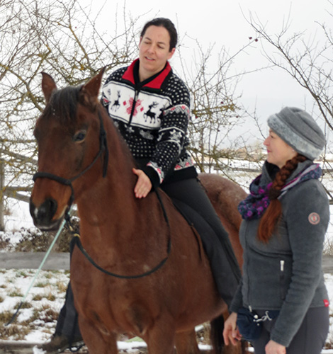 Werdegang Pferdetrainerin Anja Lück