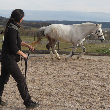 Fotogalerie DiePferdeTrainerinnen - Richtig und gesund longieren