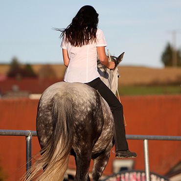 Fotogalerie DiePferdeTrainerinnen - ohne Sattel und Zäumung im Vertrauen