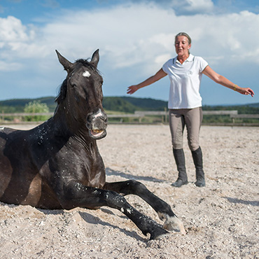 Fotogalerie DiePferdeTrainerinnen - mit Freude die gemeinsame Zeit genießen